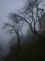 magla_2