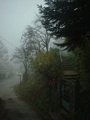 magla_3