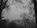 magla_4
