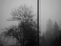 magla_5