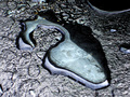 oil_3