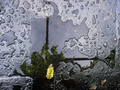 refleksija_1
