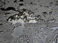 refleksija_2