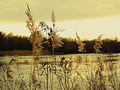 drava 1
