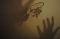 catch a dreamc…