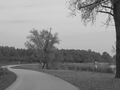 Kobna